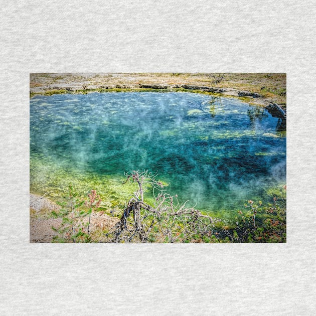 Leather Pool Yellowstone Wyoming by Debra Martz by Debra Martz